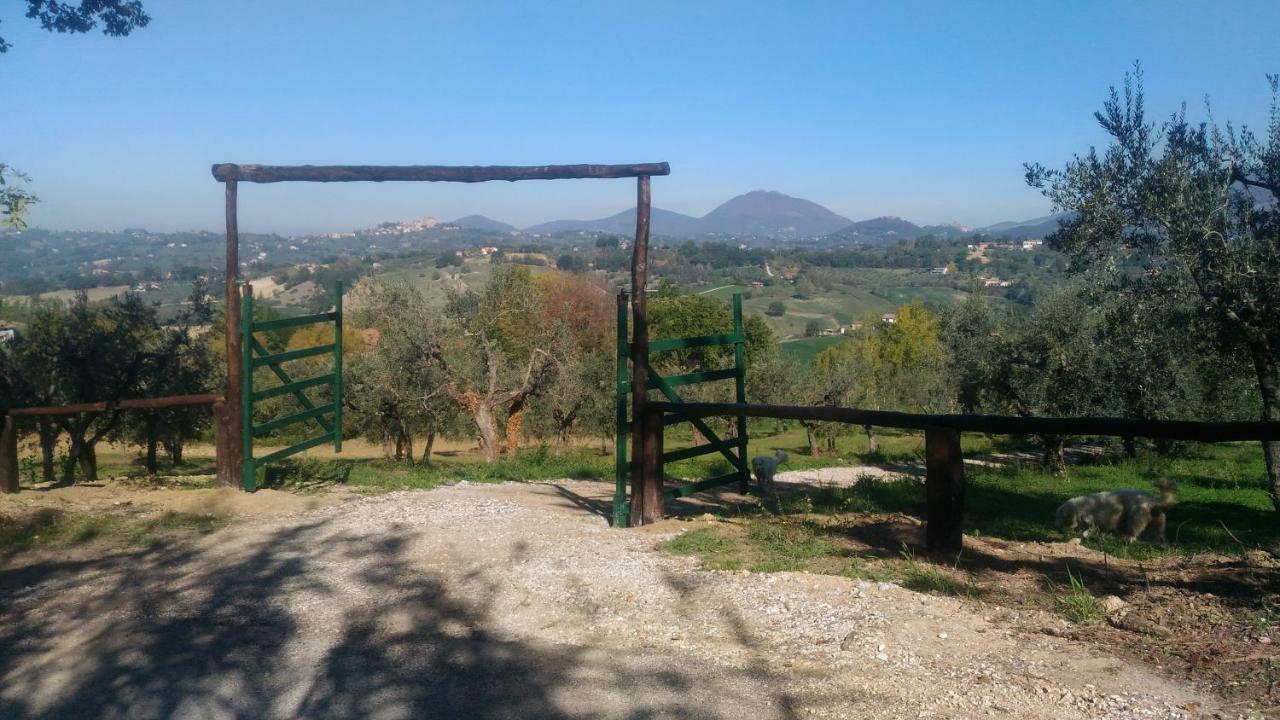 Poggio Mirteto Baduerughe - Valledellago מראה חיצוני תמונה